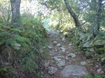 DSC00540.jpg
