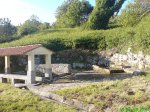DSC00541.jpg