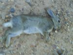 DSC00054.JPG