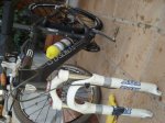 DSC07266.JPG