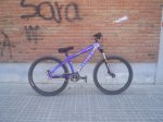 DSC09816.JPG