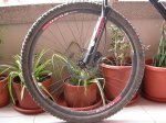 bici 008.jpg