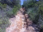 19-06-08_1155.jpg