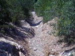 19-06-08_1158.jpg