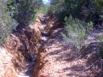19-06-08_1159.jpg