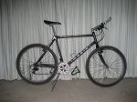 MARIN_IMG_3507.jpg