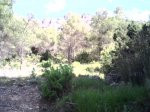IMG_0137.JPG