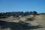 DSC04966.JPG
