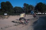DSC04973.JPG