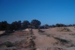 DSC05018.JPG