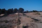 DSC05019.JPG