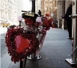 amorbici17.jpg
