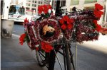 amorbici18.jpg