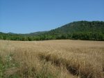 DSCF2172.JPG