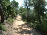 DSCF2173.JPG