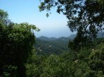 DSCF2176.JPG