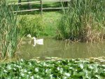 DSCF2180.JPG