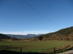 IMG_4868.jpg