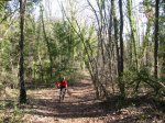 IMG_4888.JPG