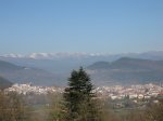 IMG_4889.JPG