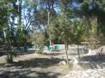DSC07054.JPG