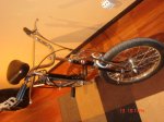 DSC00530.JPG