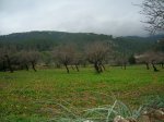 DSCN5073.JPG