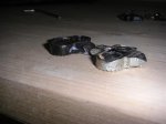 CIMG0458 (Medium).JPG