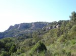 DSC06201.JPG
