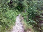 21062007293.jpg