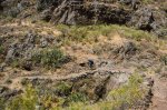 _MG_7143.jpg