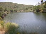 DSCN0717.jpg