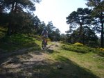 Foto3.JPG