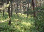 Foto6.JPG