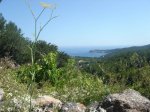 StJoan-Benirras-TalaiaStJoan-14.jpg