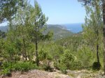 StJoan-Benirras-TalaiaStJoan-31.jpg