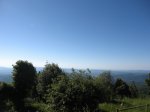 IMG_6845.JPG
