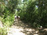 IMG_6858.JPG