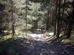 Foto10.JPG
