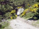 Foto43.JPG