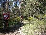 Foto49.JPG