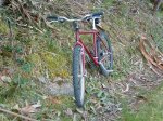 bike.jpg