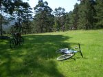 P5210029_redimensionar.JPG