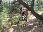 my bike book 158.jpg
