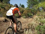 my bike book 182.jpg