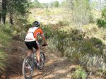 my bike book 186.jpg