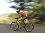 my bike book 211.jpg