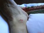 DSC00689.jpg