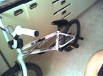 Picture 0171.jpg