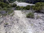 27042008092.jpg